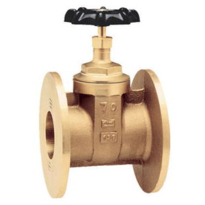 PN16青铜门valve